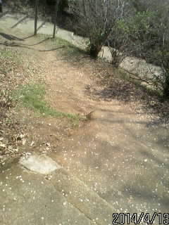 物見台の横道２