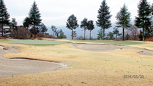 P3202978h2.jpg