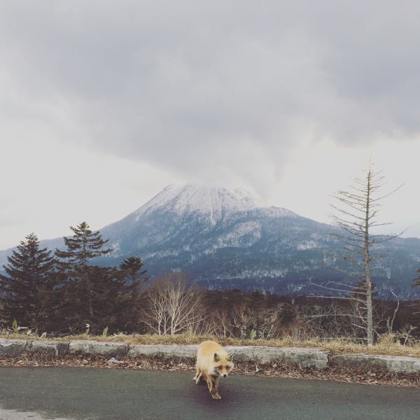 rblog-20180404221542-01.jpg