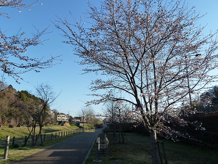 2013.3.26 008.JPG