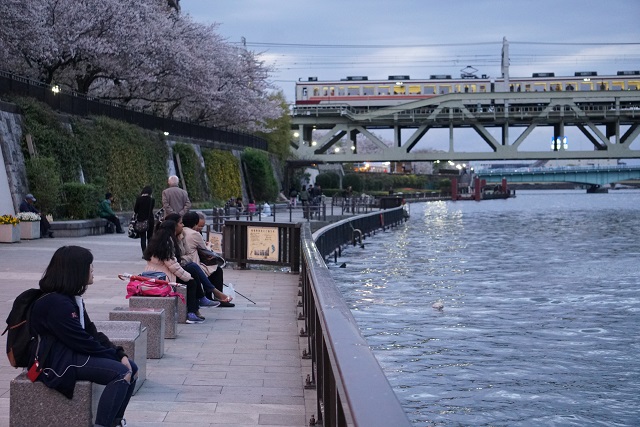 東武 6050系  浅草 東京スカイツリ－ 隅田川 桜と共に 見納め4