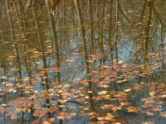 2017-04-21ike (1).JPG