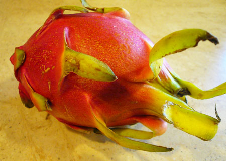 dragon fruit.jpg