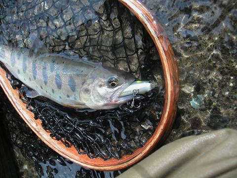 2012.05.04 004.jpg