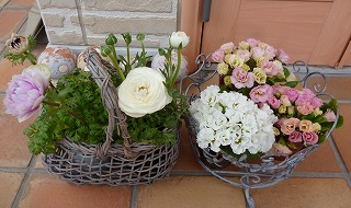 P1310732-ass.jpg
