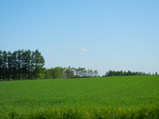 DSCN1092.JPG