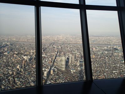 P2010004.jpg