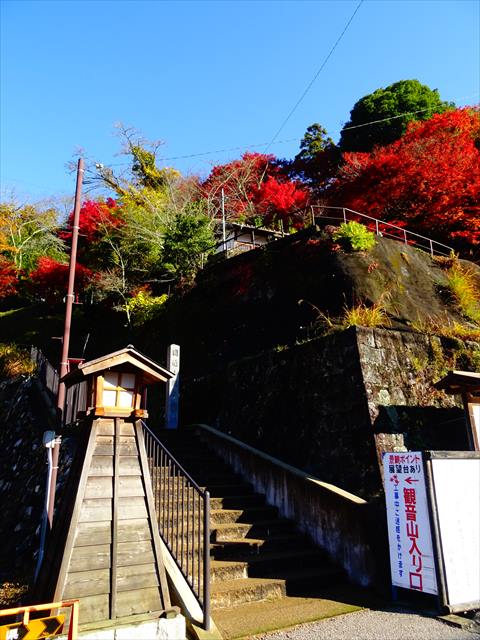 DSC08158_R.JPG