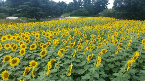 rblog-20160814225810-07.jpg