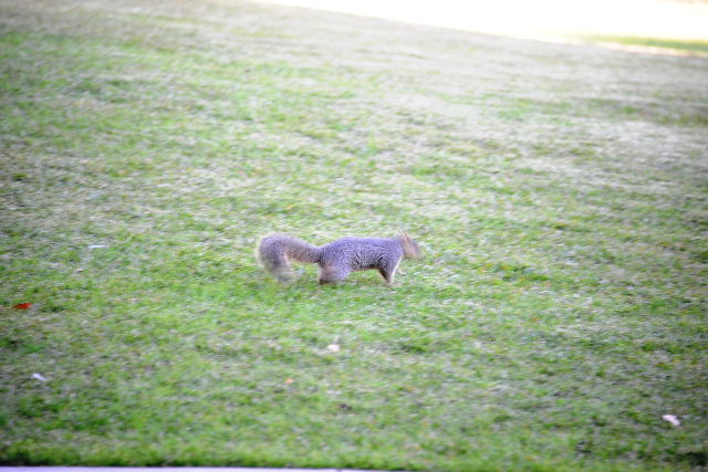 2013-01-27 08.39.38.jpg