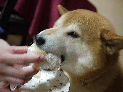 ここはいっちょ、男らしく