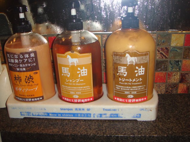 DSC07243_R.JPG