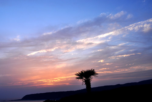 夕日