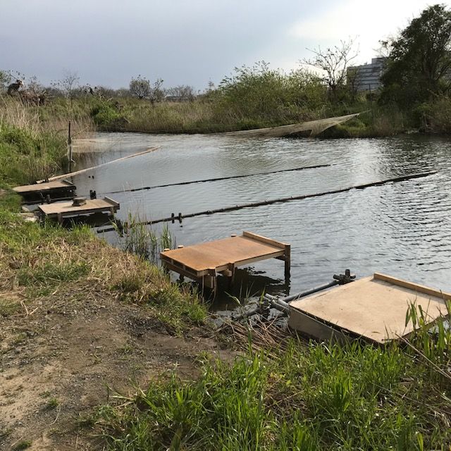 美品】ヘラブナ 竿 胡春 へらぶな 釣り 池