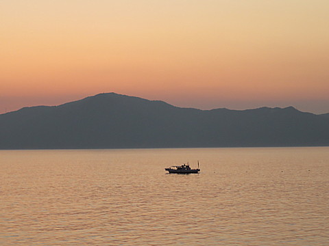 IMG_4641.jpg