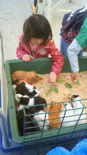 201204081153000.jpg