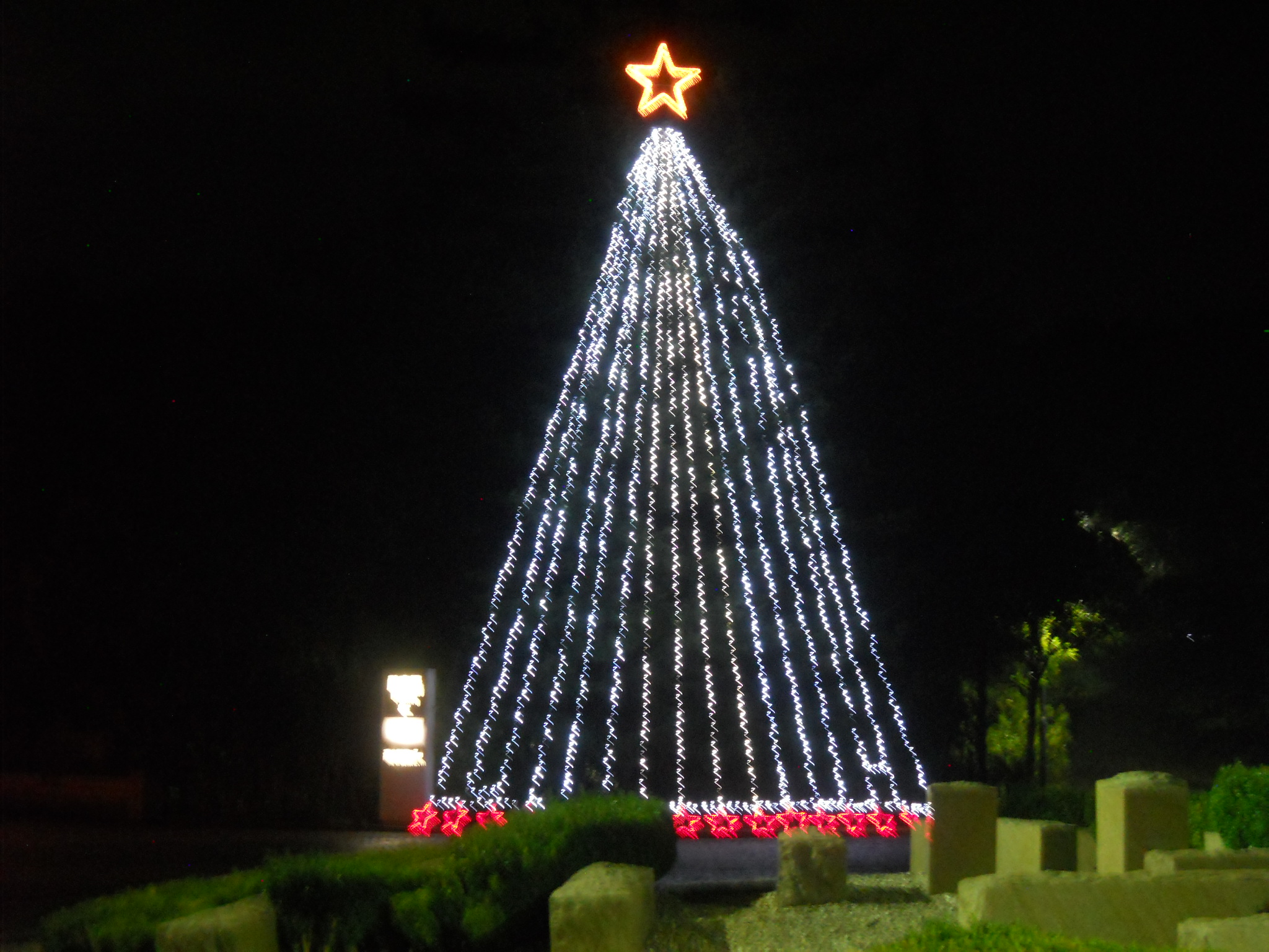 DSCN2451.JPG