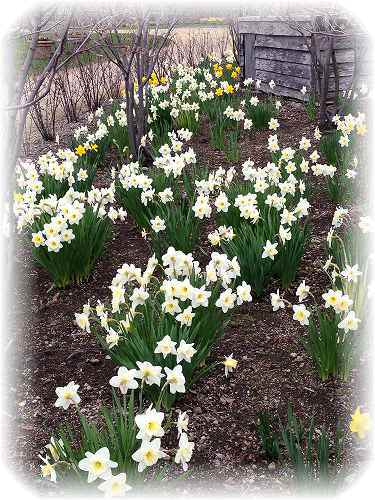 iphone　カメラロール 092.jpg