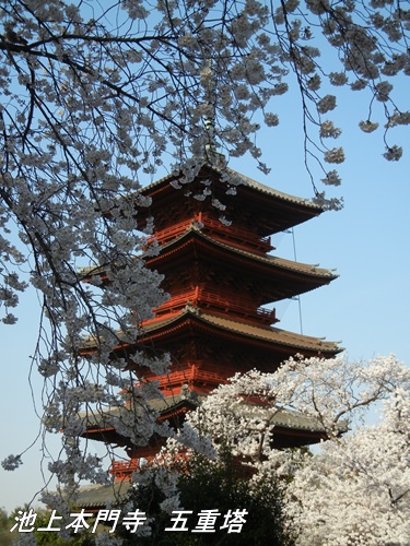 池上本門寺