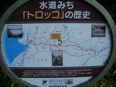 ss3