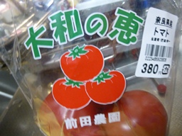 P1020541.JPG