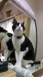rblog-20130727125442-00.png