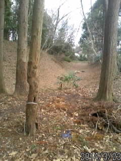 児山城内堀２