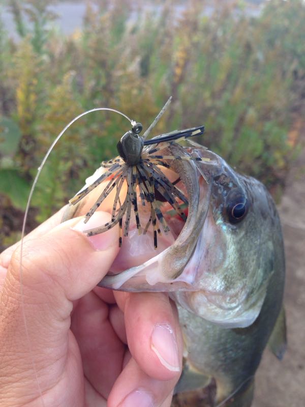rblog-20141113150139-01.jpg