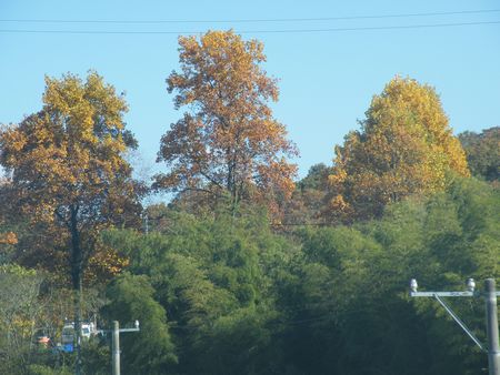 DSCF8399-450.jpg