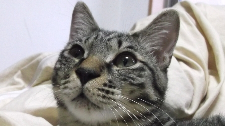 すずひめ　12月29日　アップ.jpg