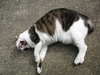 IMG_6912ss.jpg