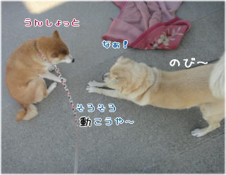 0127朝5.jpg