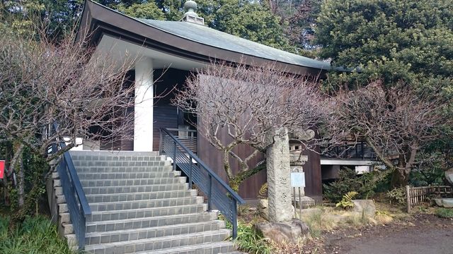 2016-01-31 10.08.06.jpg