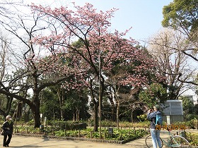 IMG_1593b.jpg