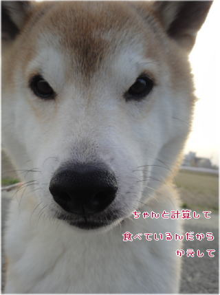 0101パンちゃんと9.jpg
