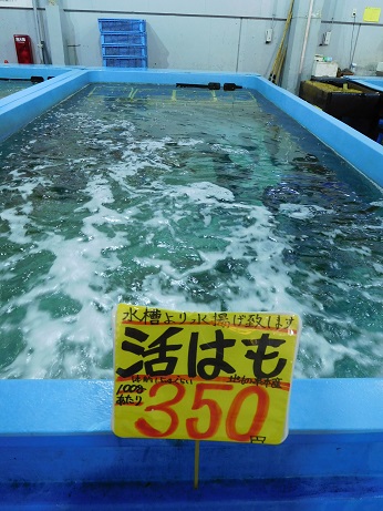 DSCN1984.JPG