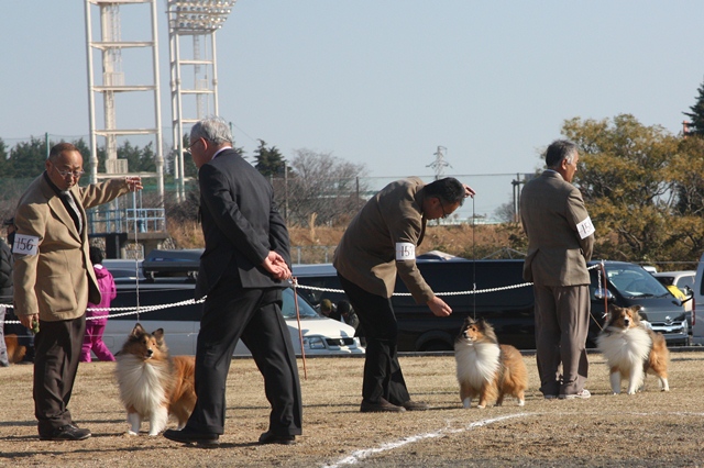 IMG_2509 - コピー.JPG