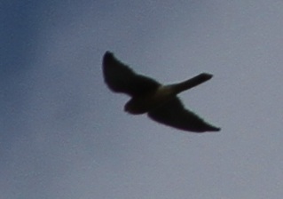 E7D_9969-2.jpg