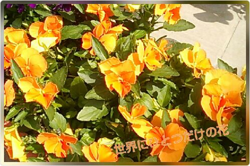 rblog-20160409000815-00.jpg