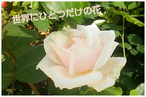 rblog-20160514141754-00.jpg