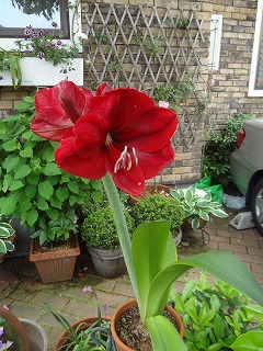 DSC05272.jpg