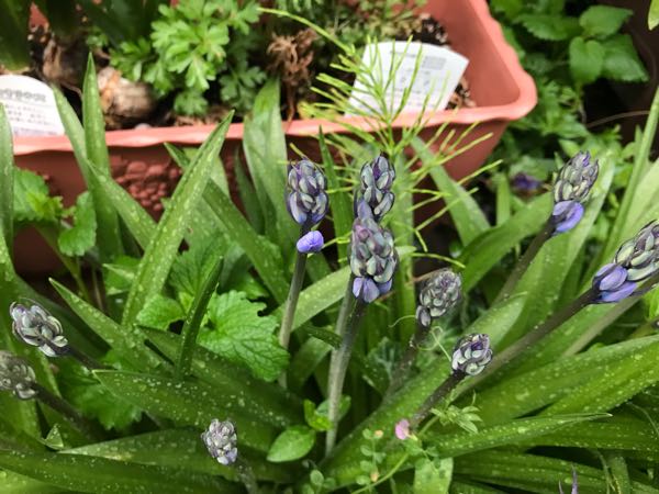 rblog-20190419194050-00.jpg