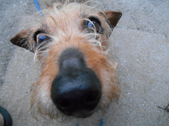 DSCN0827.JPG