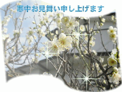 kanchu-ume-ani[1].gif