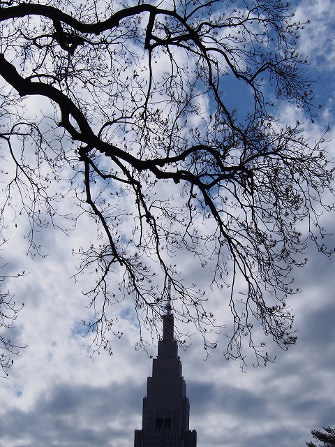 P2210386.jpg