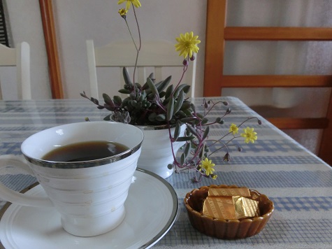 多肉の花とコーヒーカップ