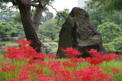 旧芝離宮恩賜庭園にて