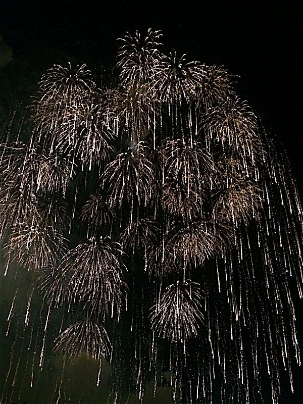 rblog-20150815223633-01.jpg