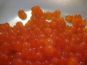 輝いています！