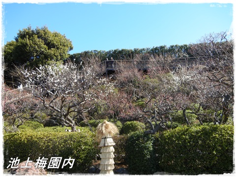 池上梅園